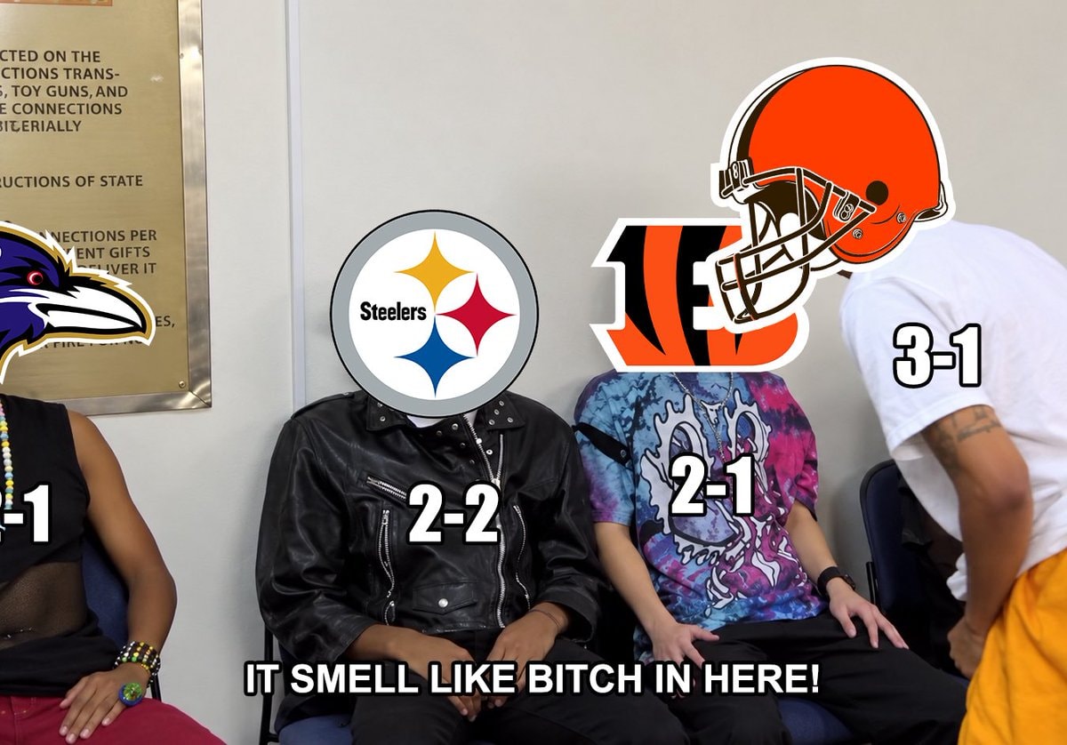 Cleveland Browns AFC North leaders