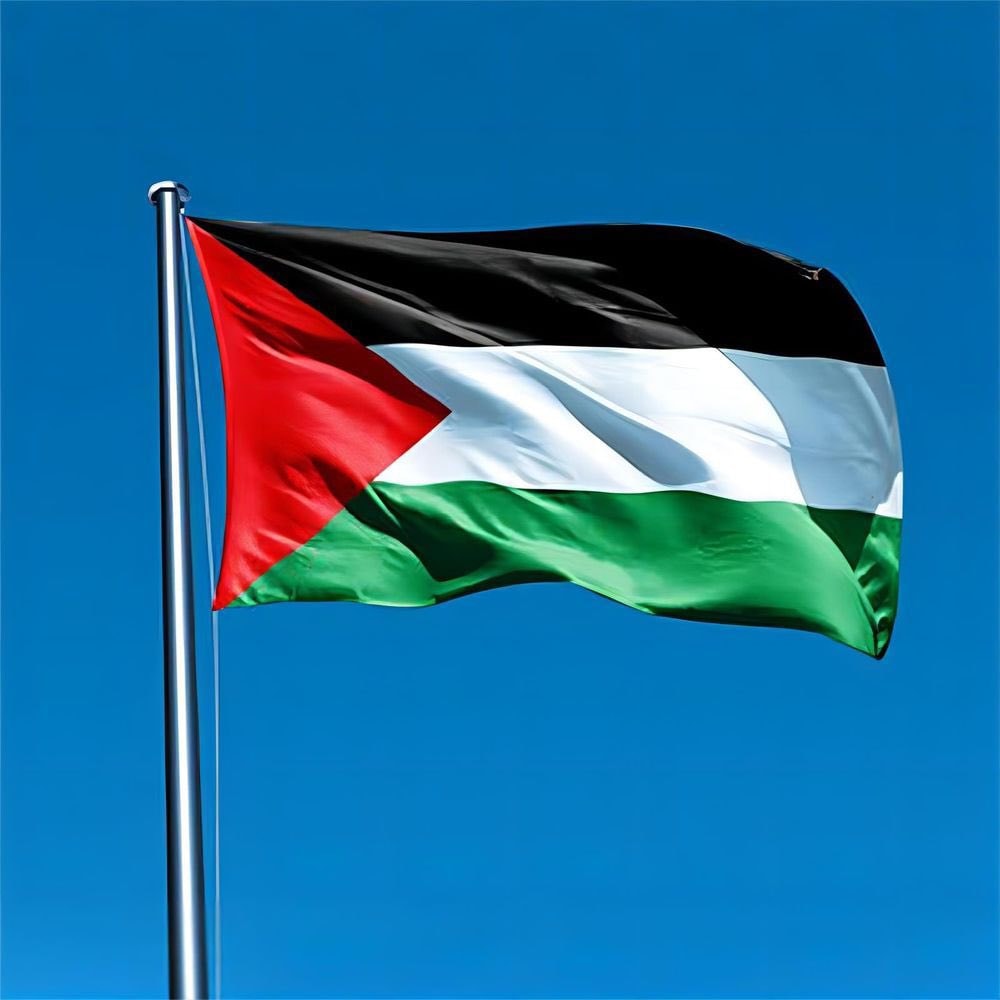 Norway Gaza donation World Cup qualifying (photo 2 of 2)