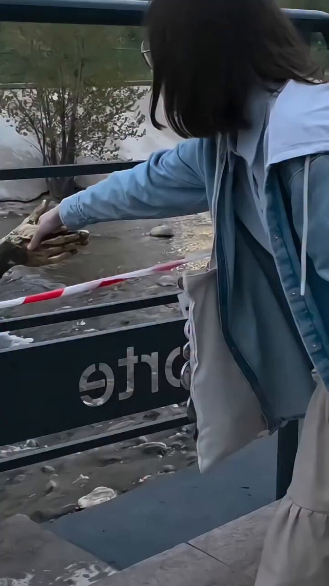 Dog rescued from Almaty dam statue