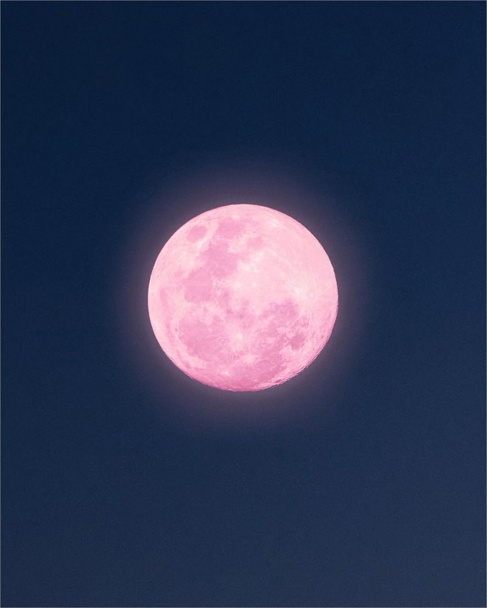 Pink Moon April 1 🚨 (photo 2 of 2)