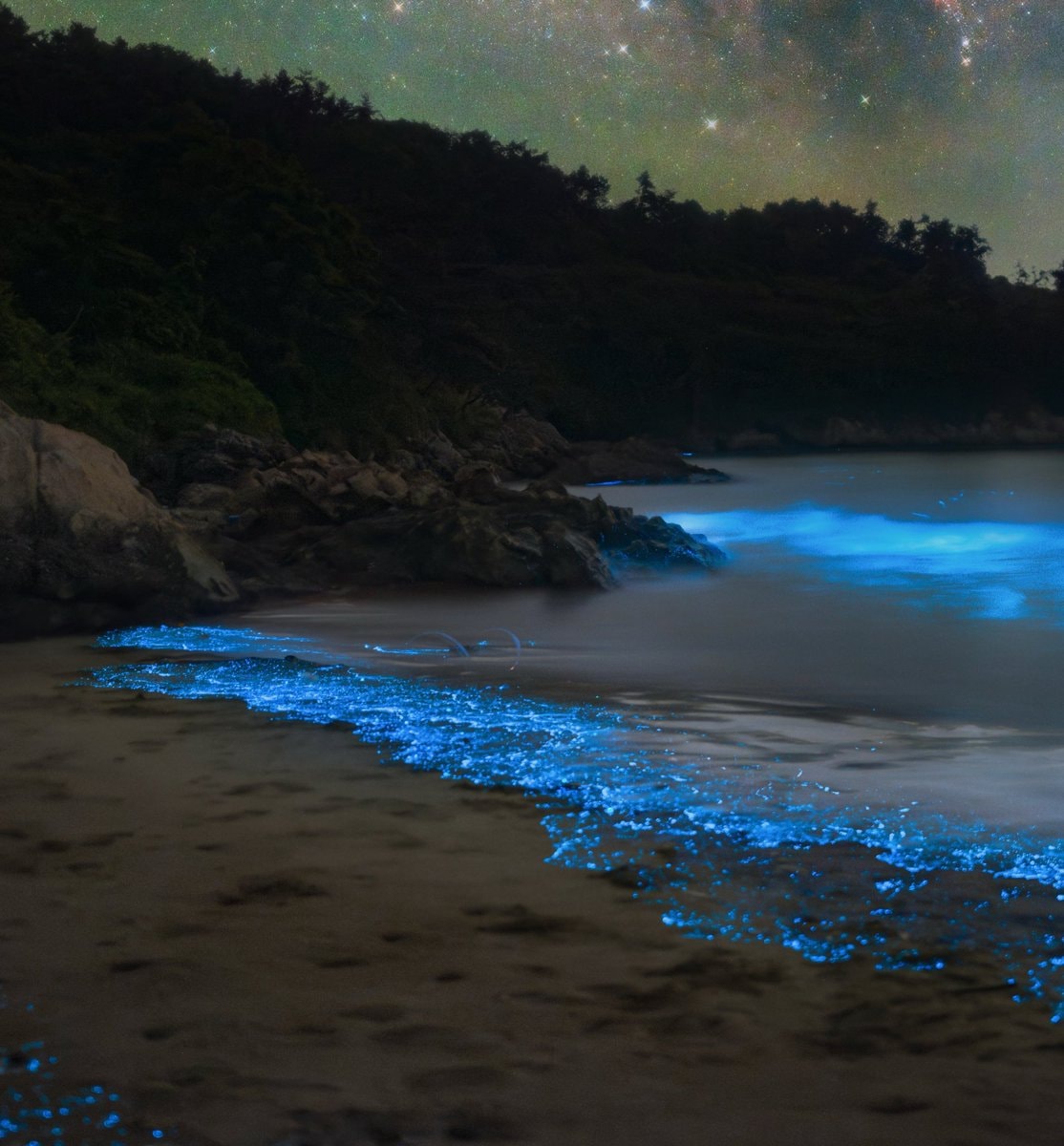 Bioluminescent beach at night (photo 4 of 4)