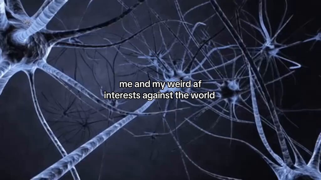 Me and my weird af interests against the world