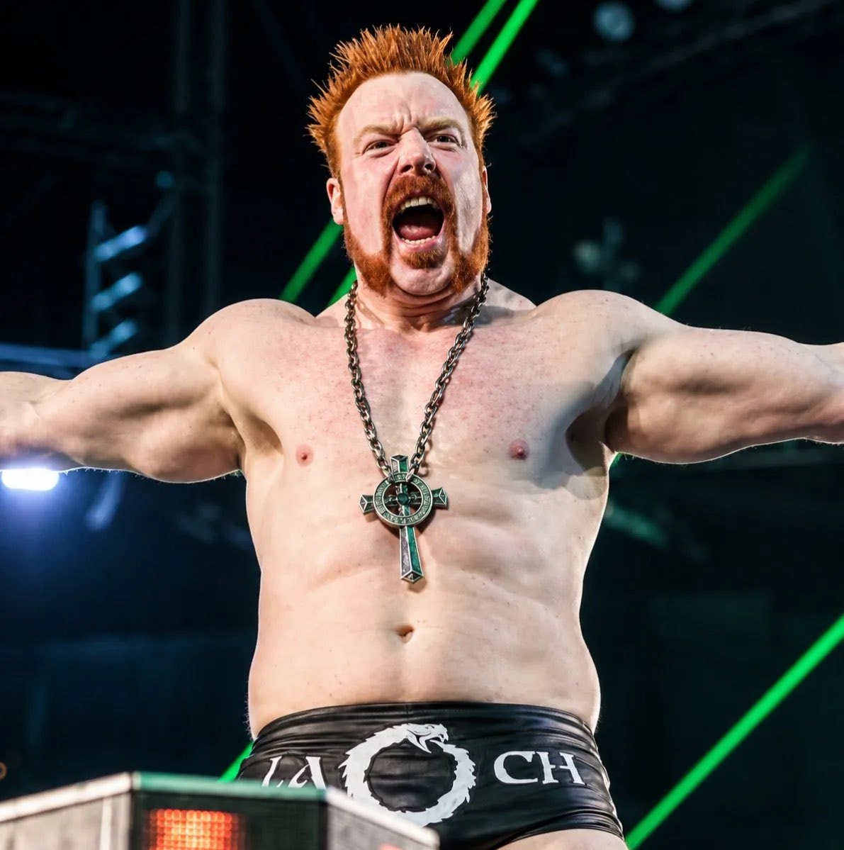 Sheamus WWE alumni (photo 1 of 2)