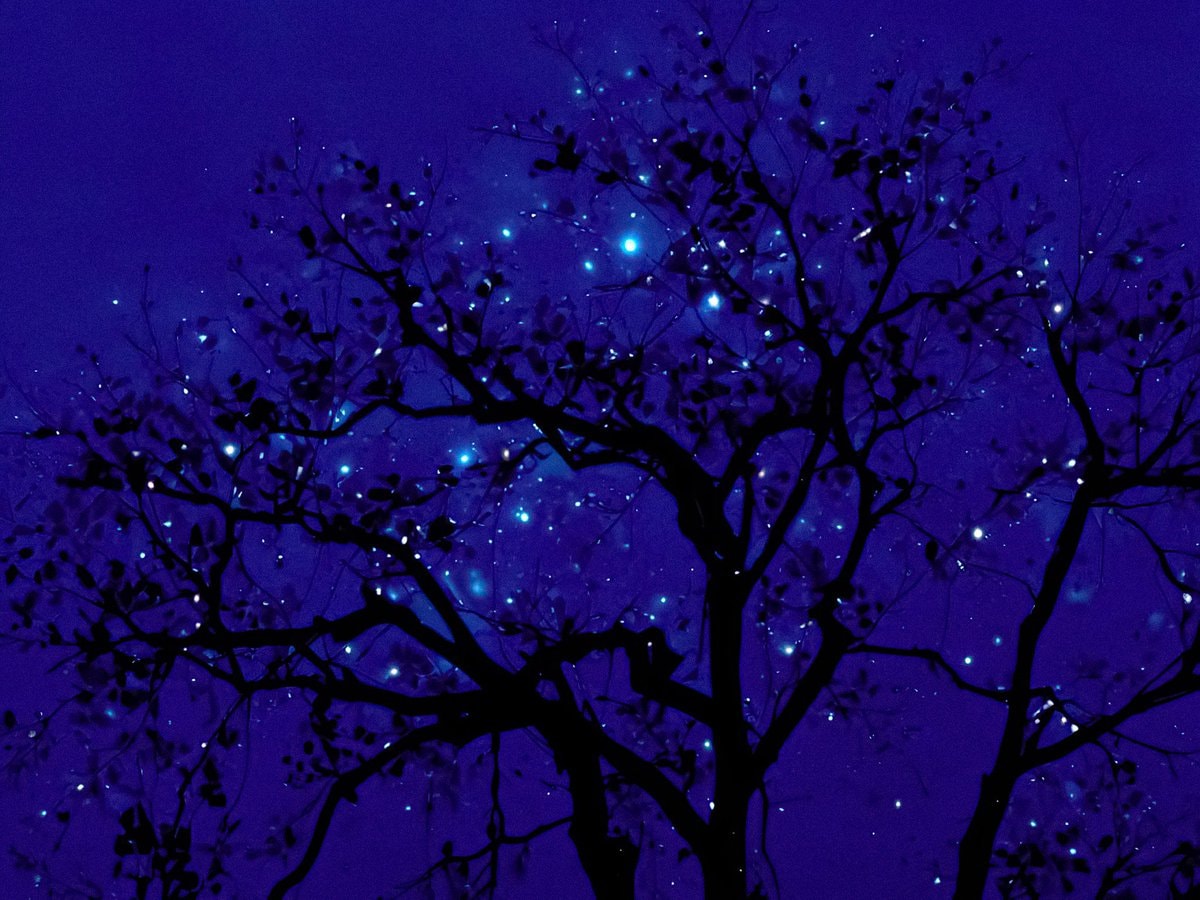 blue crescent moon starry night (photo 3 of 4)