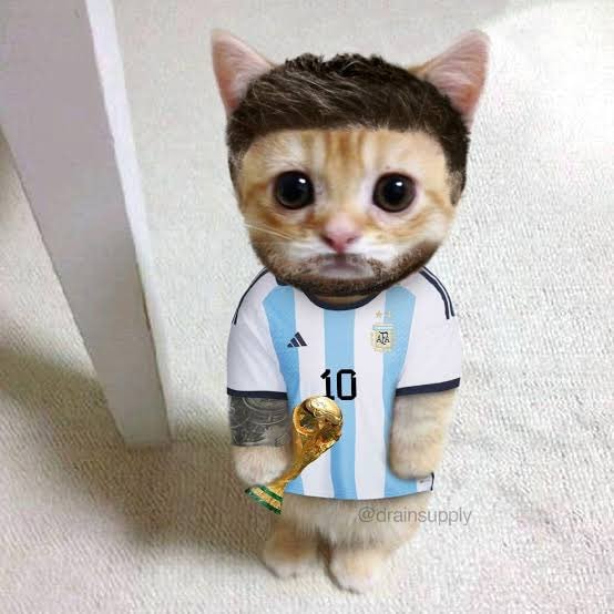 Messi cat Argentina jersey trophy Messi cat Argentina jersey trophy