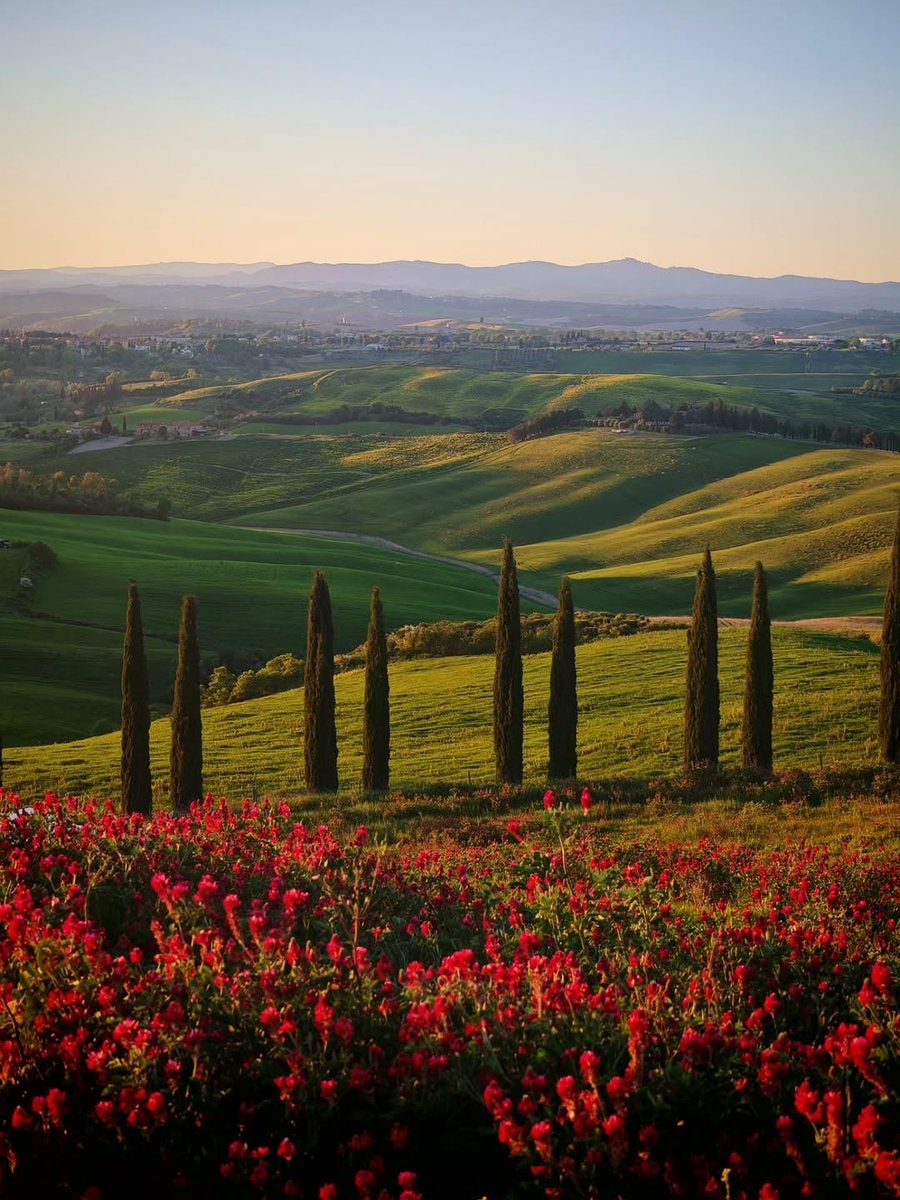 Tuscany Italy 🇮🇹 (photo 3 of 4)