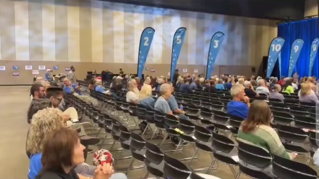 Michigan Democrats convention low turnout