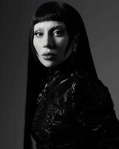 Lady Gaga 2027 Grammys submissions