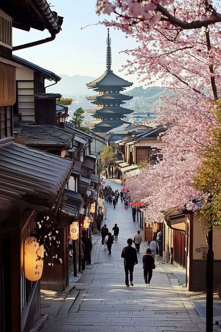 Cherry Blossom Japan Mount Fuji 🌸 (photo 4 of 4)