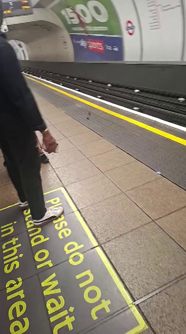 mice fight London station