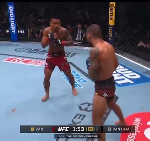 flyweight division reaction