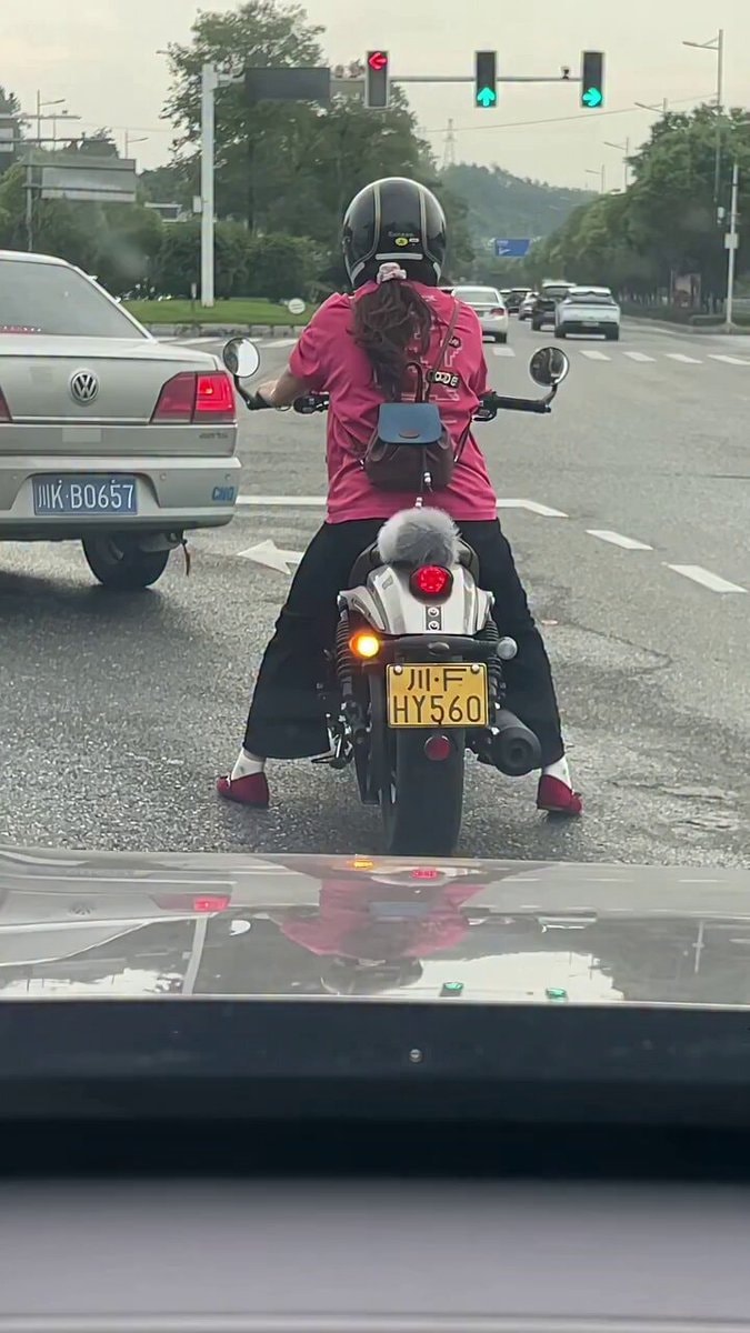 Motorcycle passenger unusual behavior