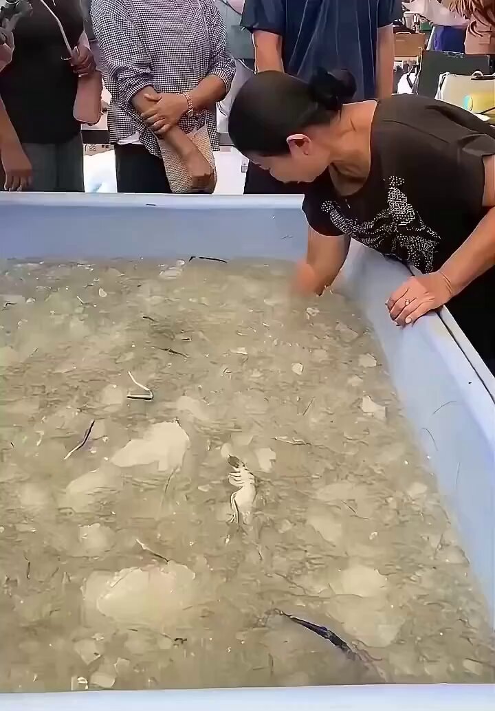 street shrimp fishing contest