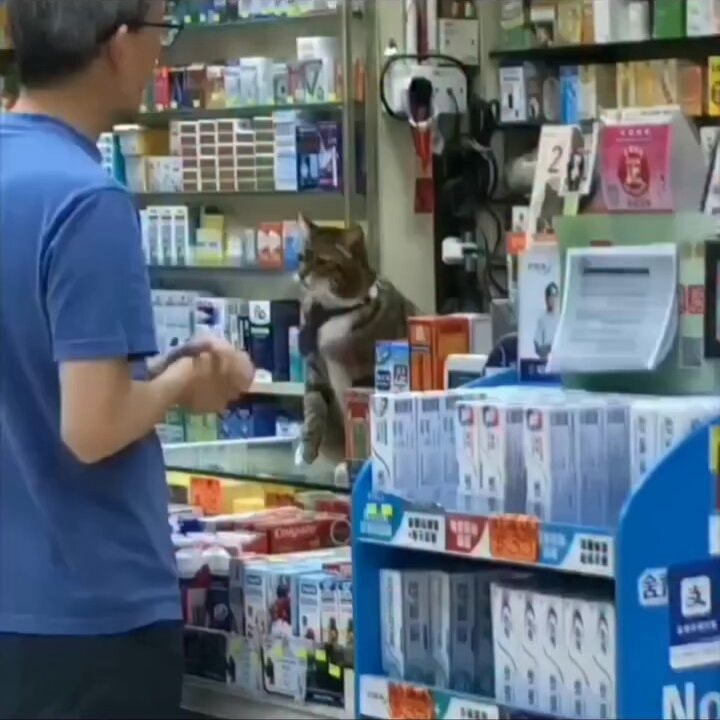 store manager being harassed