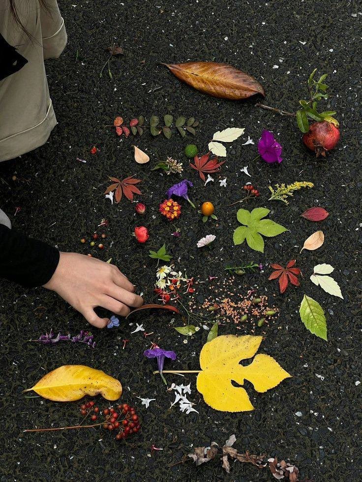 nature leaves flowers heart arrangement (photo 2 of 2)