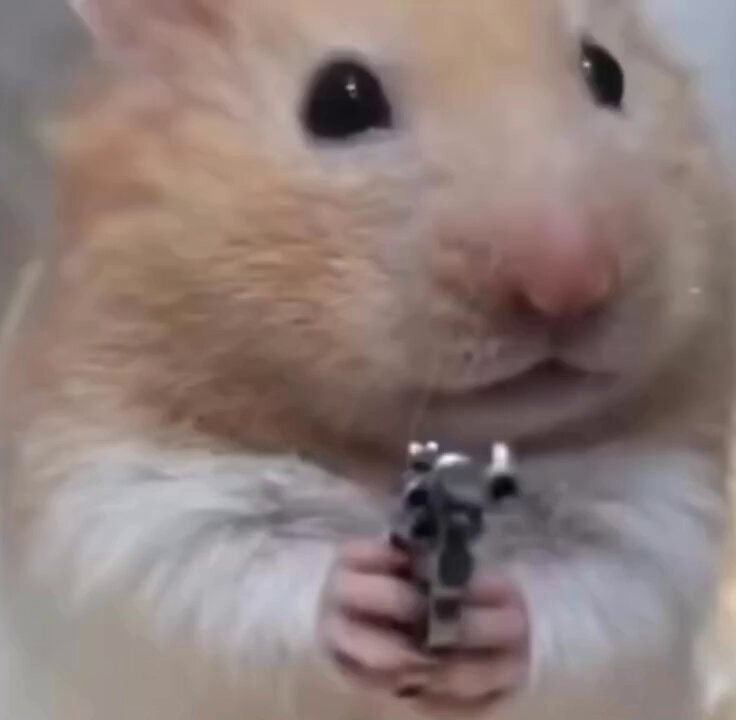 Hamster iPhone 18 Pro Max search