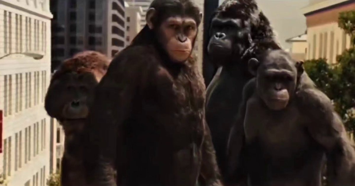 caesar rocket maurice buck squad