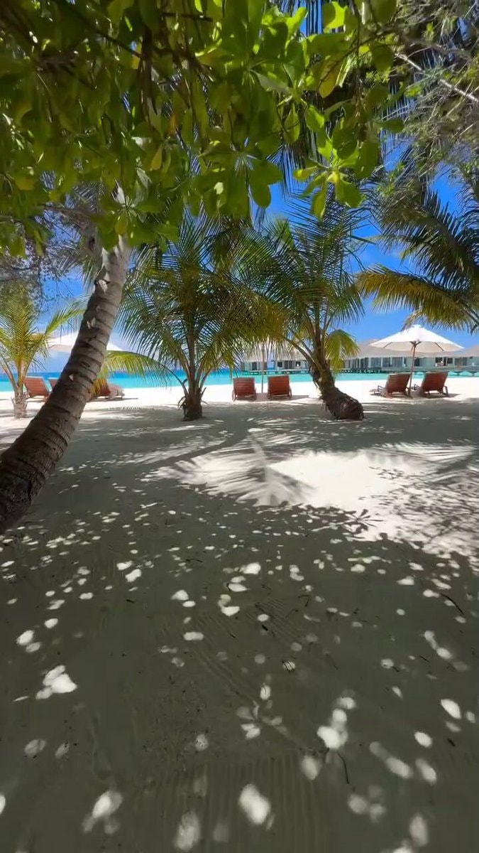 Classical summer in Maldives
