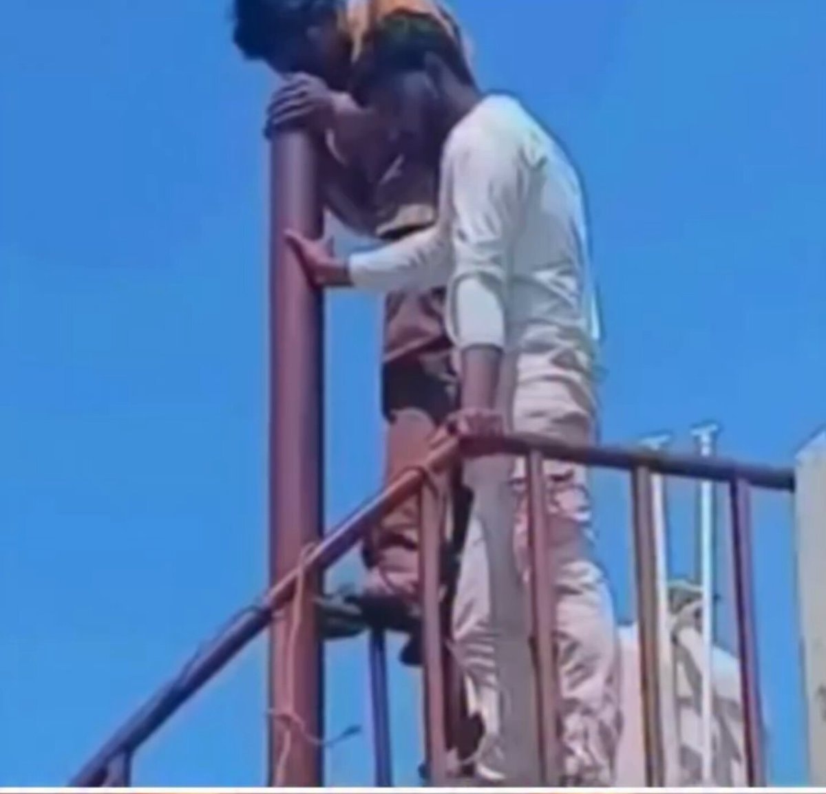 rescuing a helpless bird