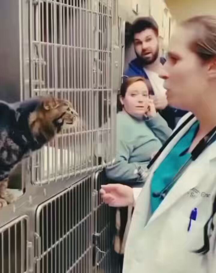 terrifying strong moments
