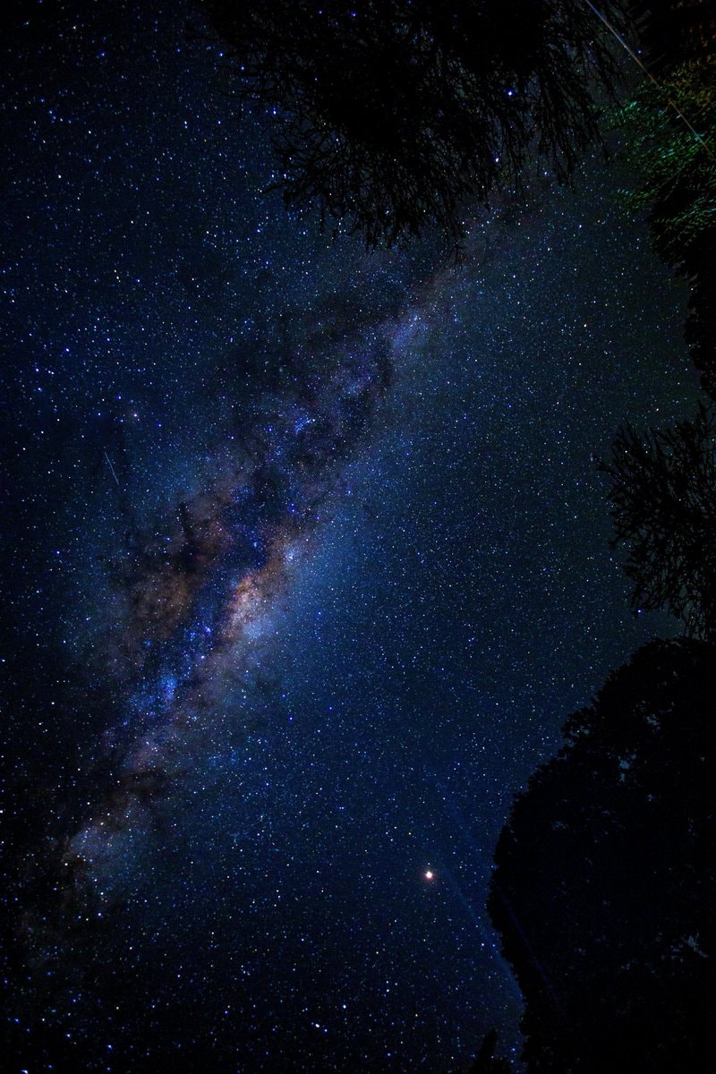 Stars of the Galaxy