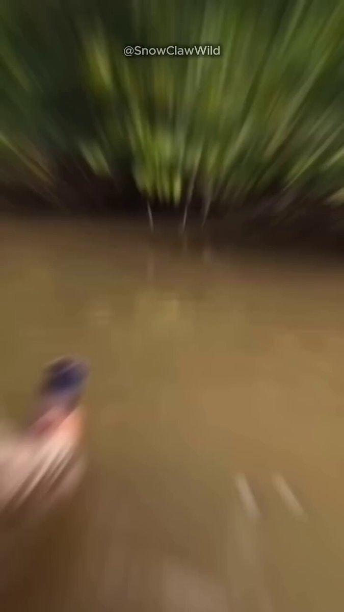 unbelievable funny moments
