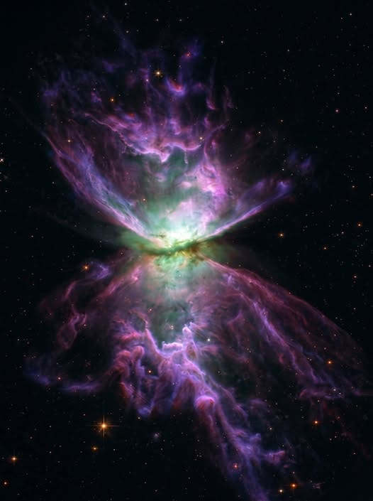 Butterfly Nebula