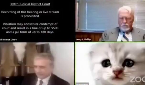 Rod Ponton Zoom cat hearing