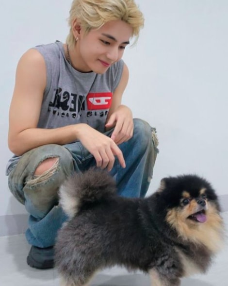 Taehyung and Yeontan stage debut Taehyung and Yeontan stage debut