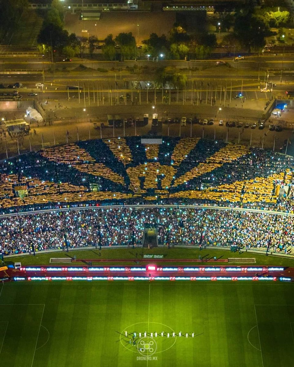 Pumas fan loyalty