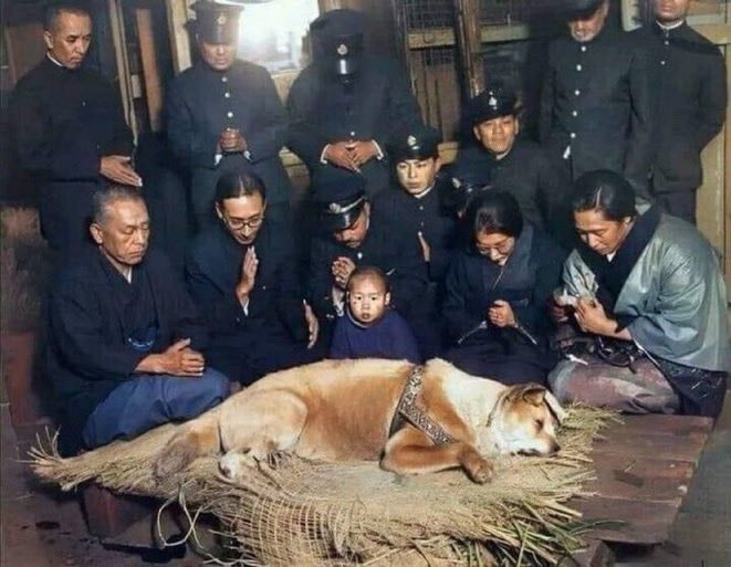 Hachiko 1935 photo