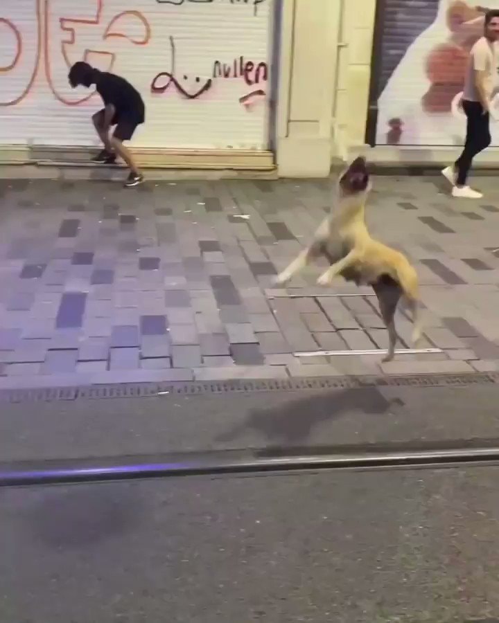 Istanbul street joy