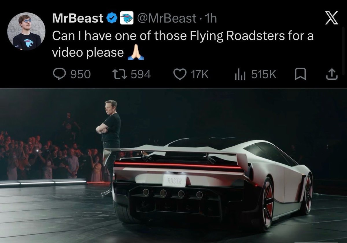 Elon Musk and the Roadster