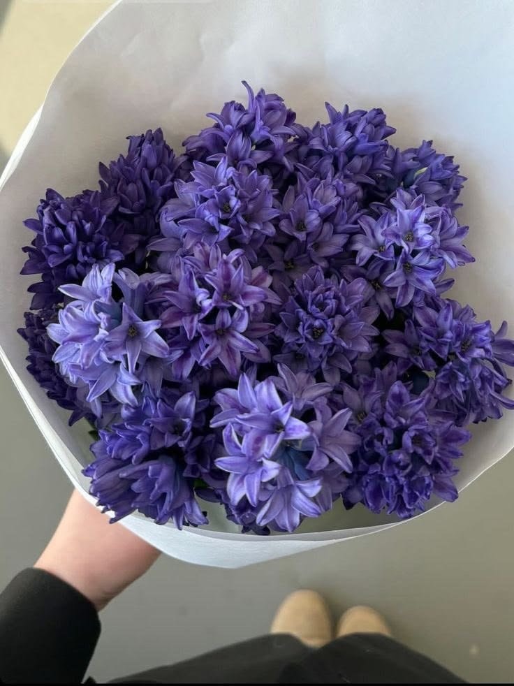 Hyacinths bouquet (photo 3 of 4)