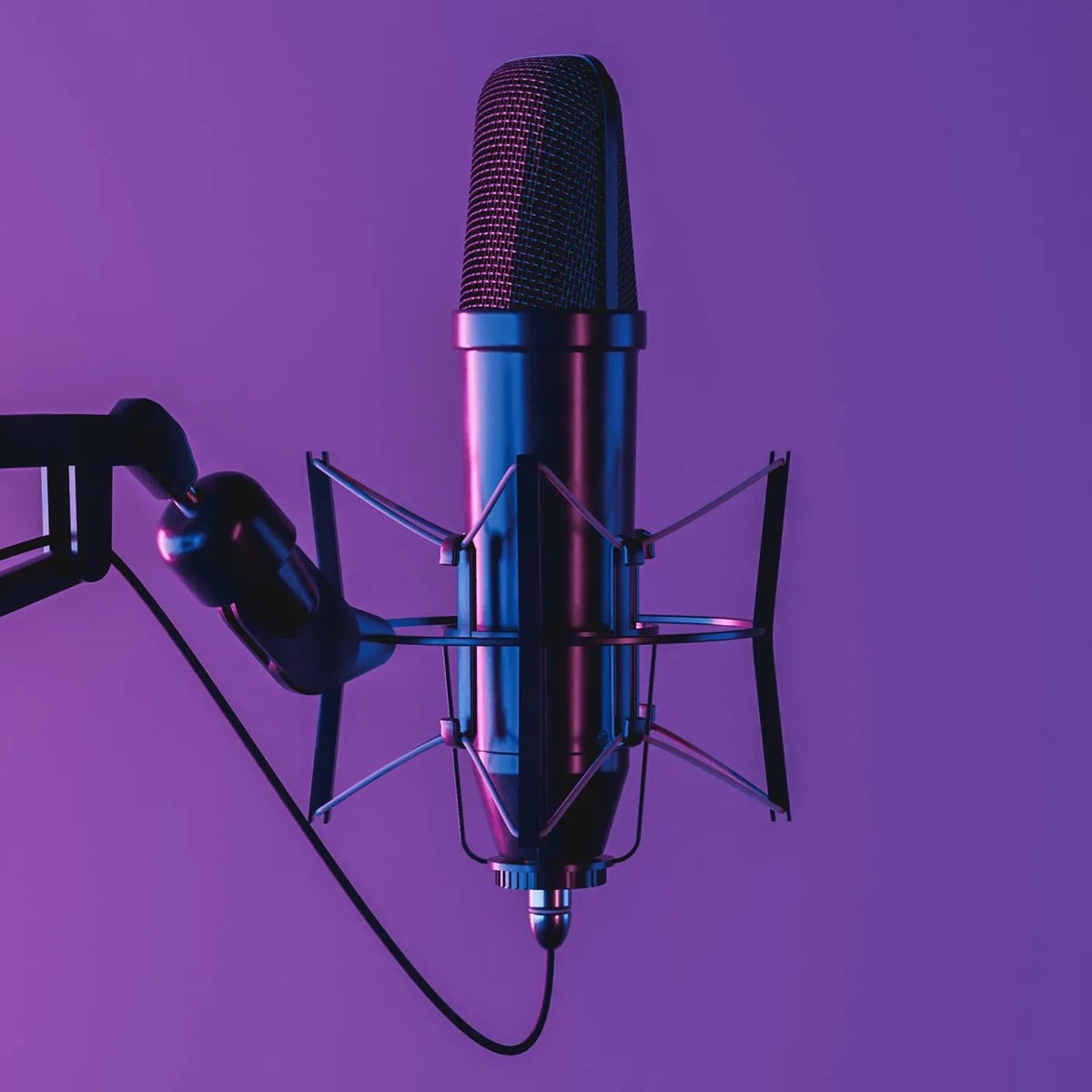 GTA VI in-game podcasts (photo 2 of 2)