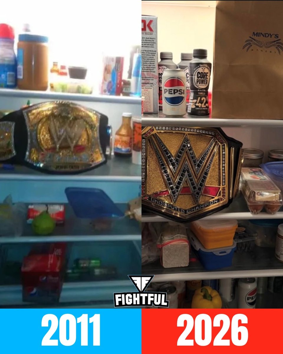 CM Punk WWE Championship fridge pic