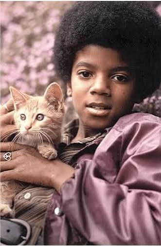 Michael Jackson with ginger kitten