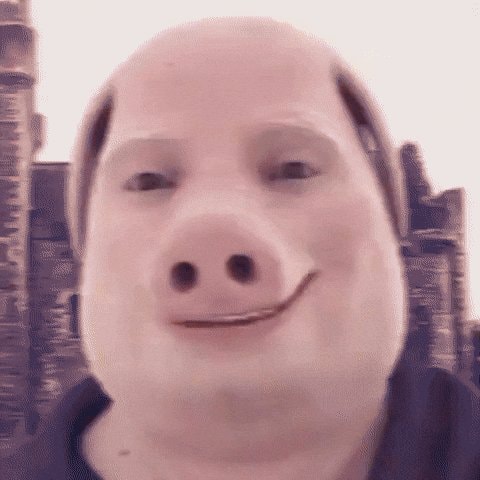 Pig mask castle GIF