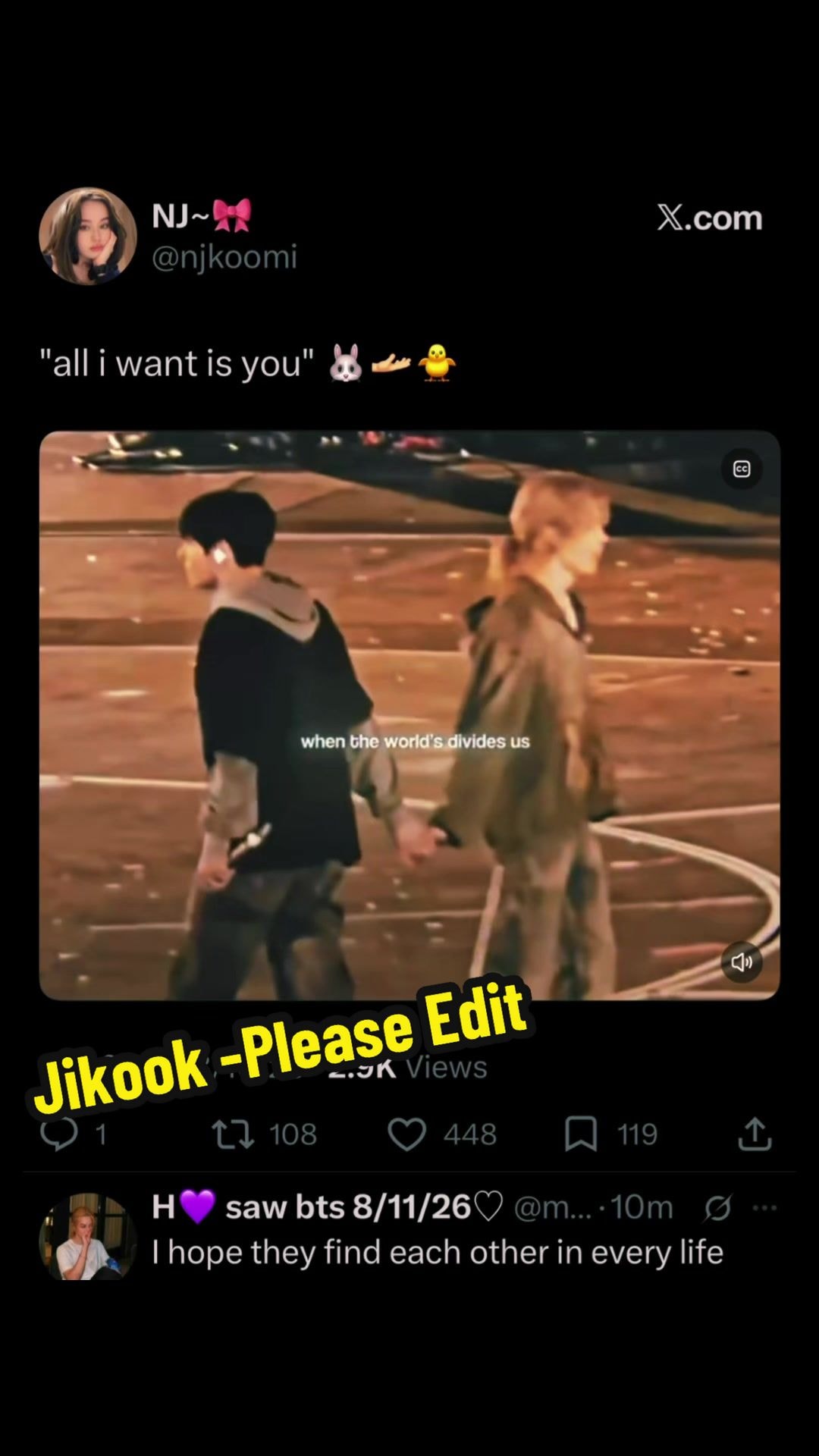 Jimin Jungkook tour edit