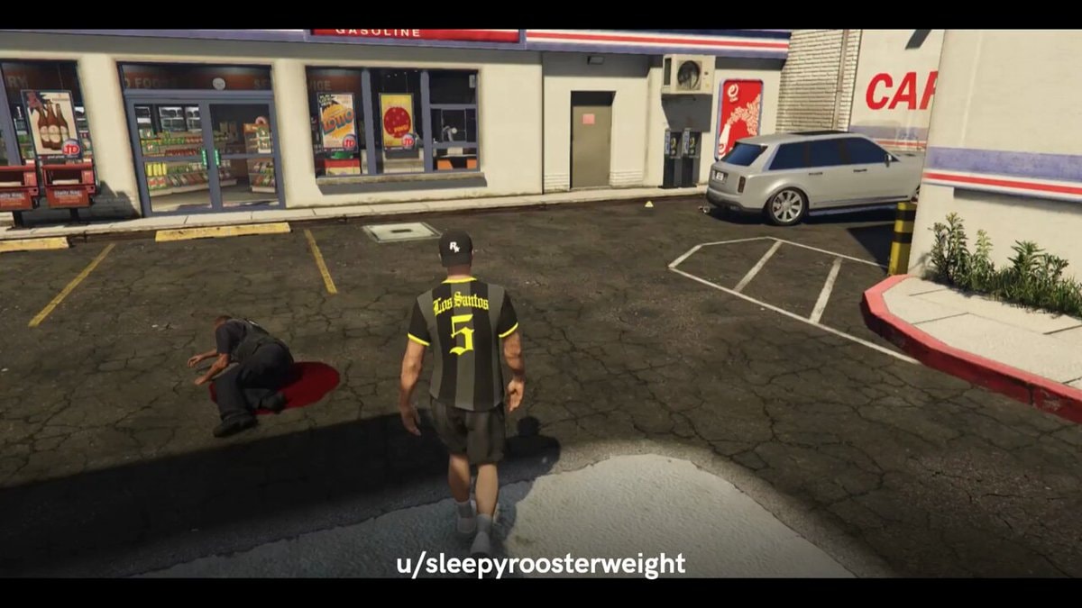 GTA 5 dumb NPC video