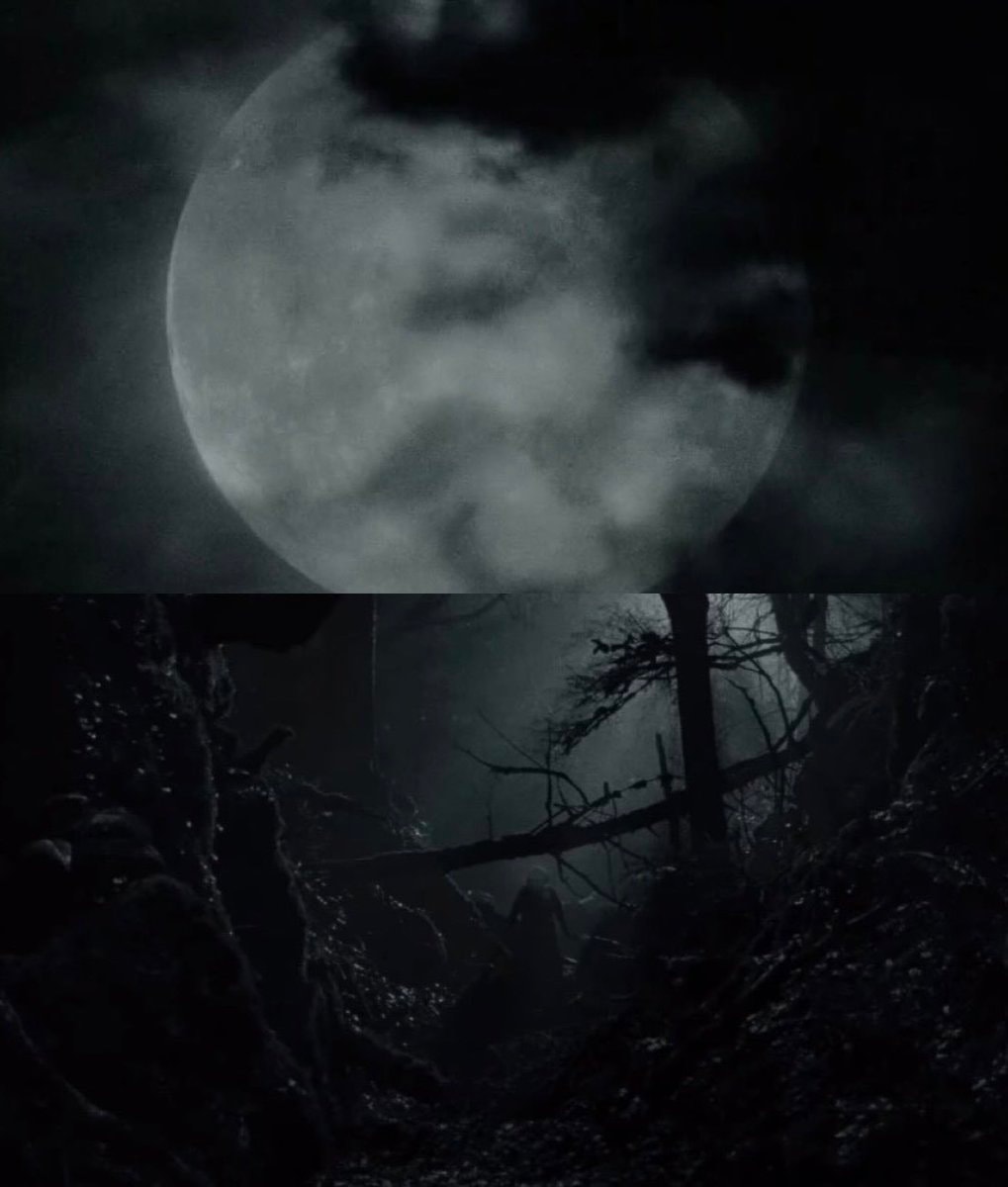 Robert Eggers WERWULF (photo 2 of 2)