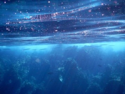 Ocean blue water shimmer (photo 4 of 4)