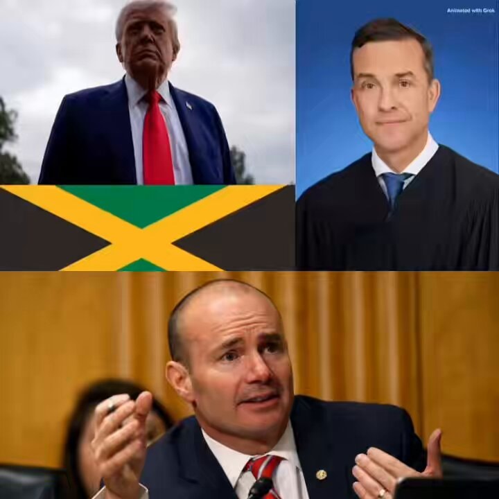 Sen. Mike Lee on Biden Judge Ruling Sen. Mike Lee on Biden Judge Ruling