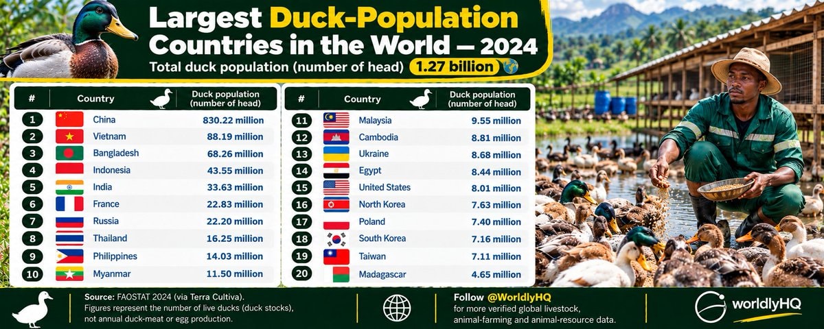 Largest Duck Population Countries 2024 Largest Duck Population Countries 2024