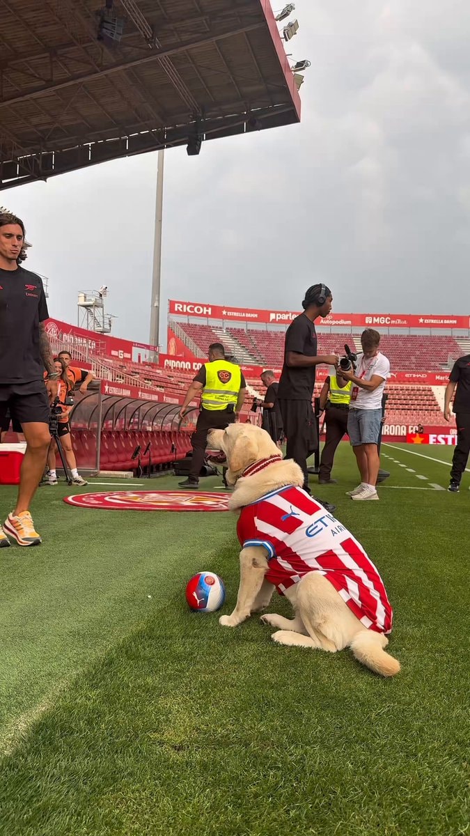 Aurafiori petting Girona's dog