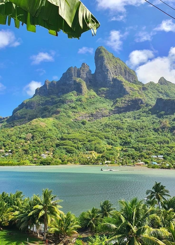 French Polynesia pond scene (photo 4 of 4)