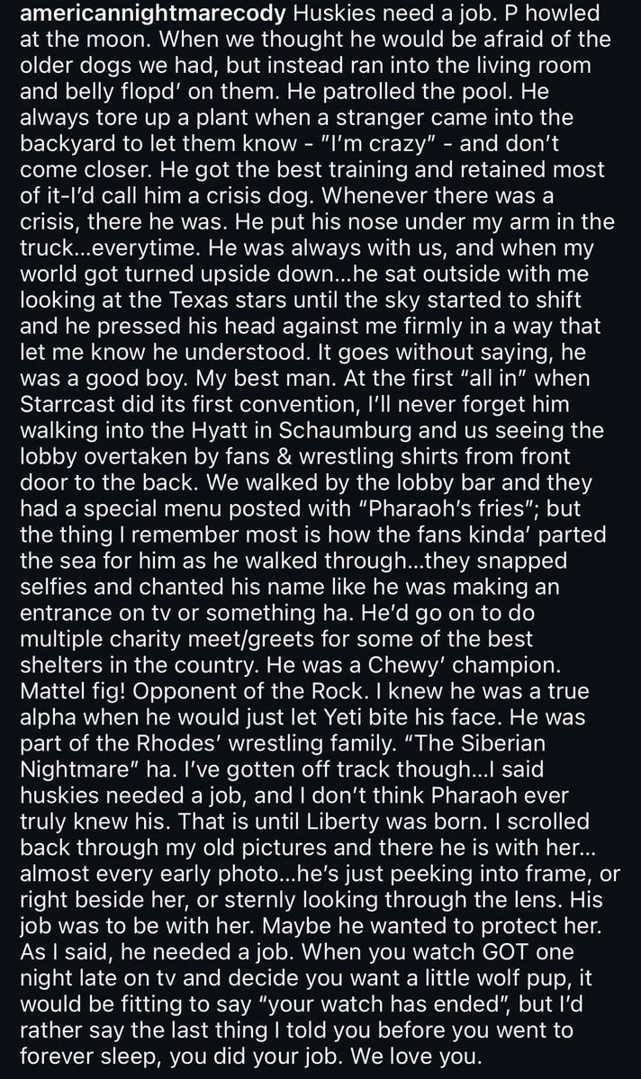 Pharaoh passes Cody Rhodes (photo 2 of 2)