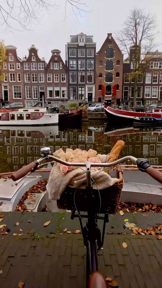 Amsterdam bicycle basket