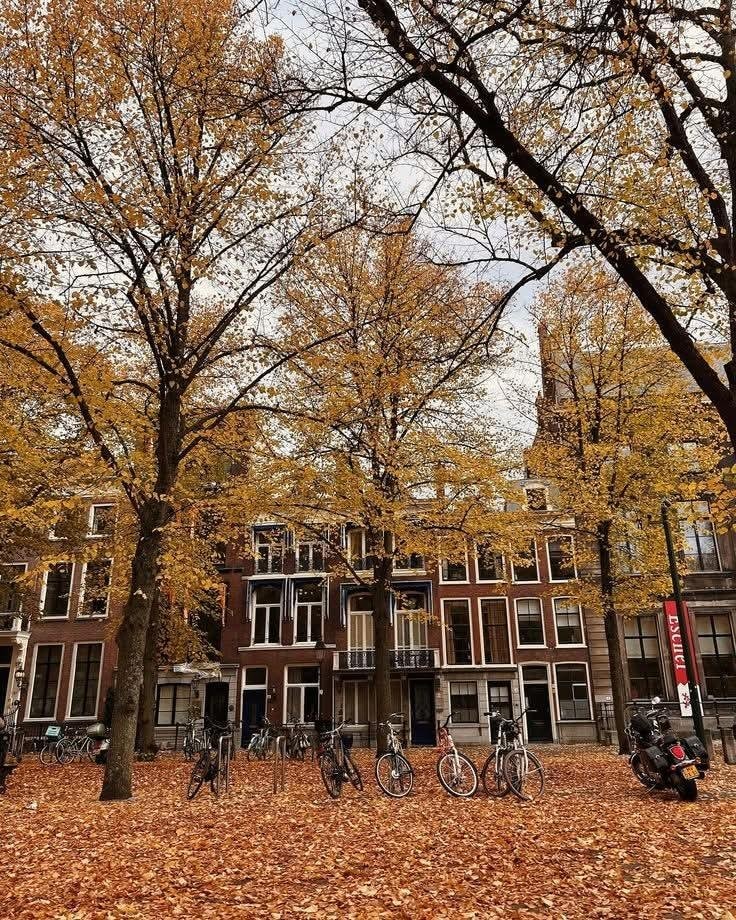 Autumn in Amsterdam Netherlands