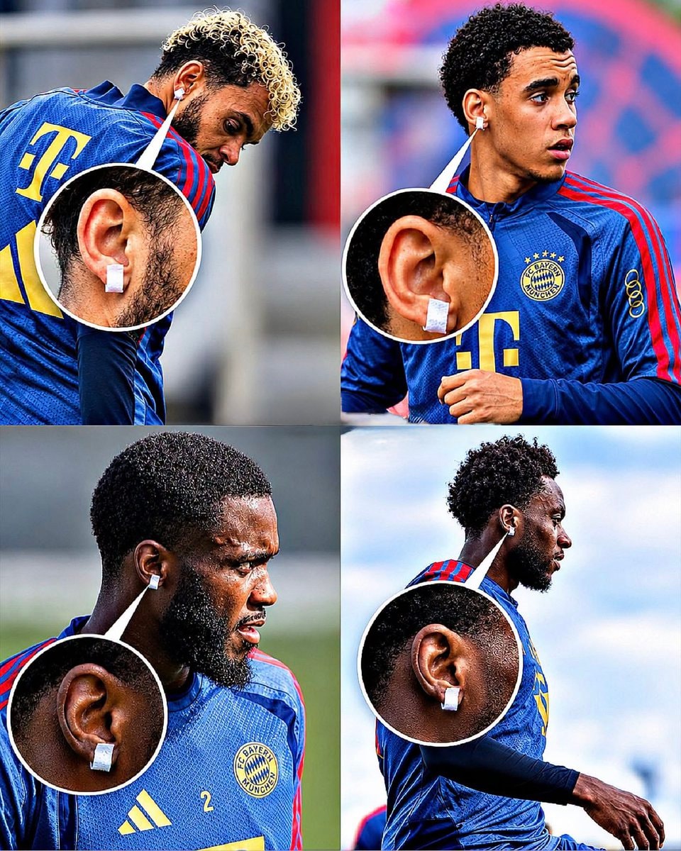 Bayern Munich ear items